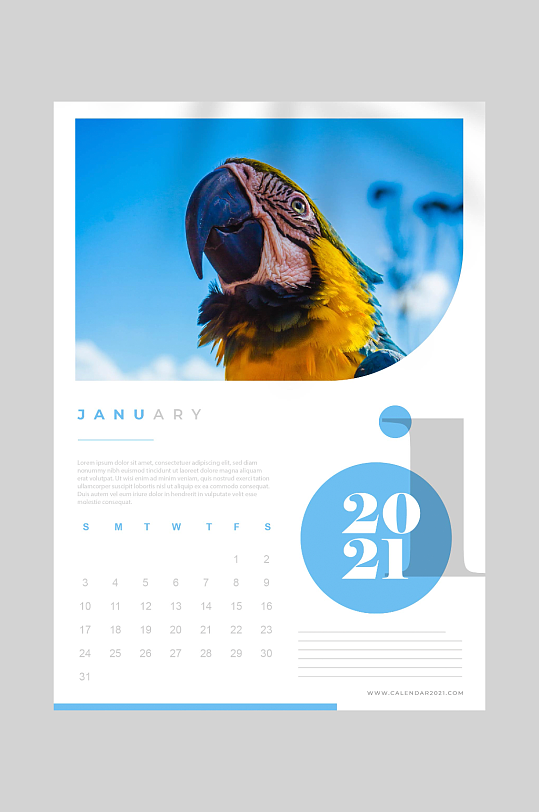 鹦鹉企业台历动物公司挂历新年日历设计