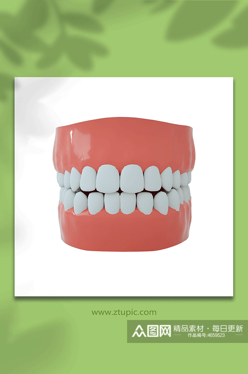 医疗牙科正面牙齿C4D模型PNG免抠元素素材