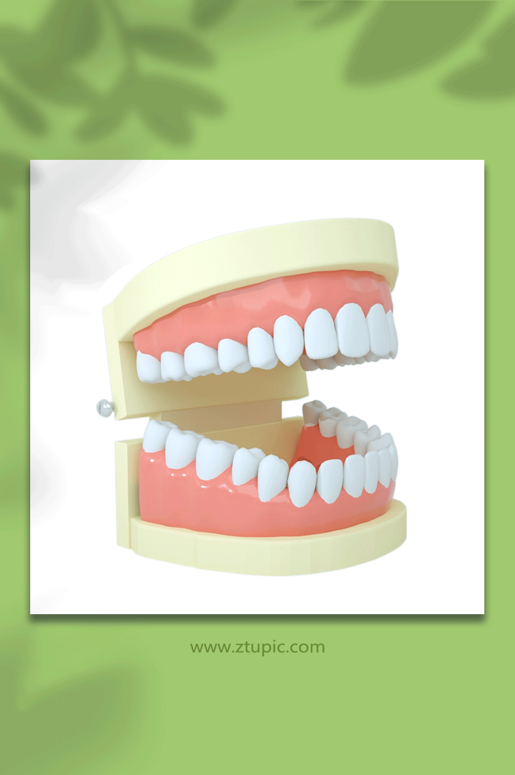 假牙医疗牙科牙齿c4d模型png免抠元素