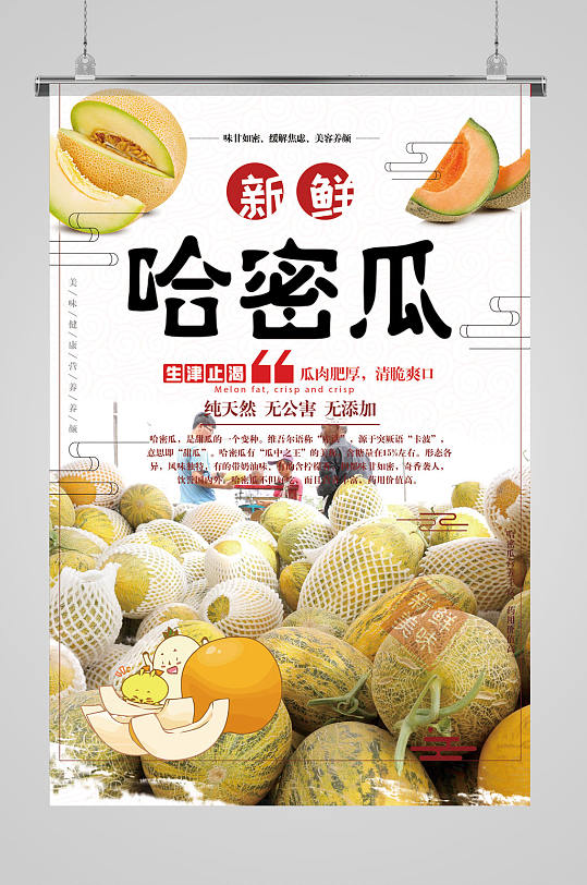 新鲜哈密瓜海报展板-众图网