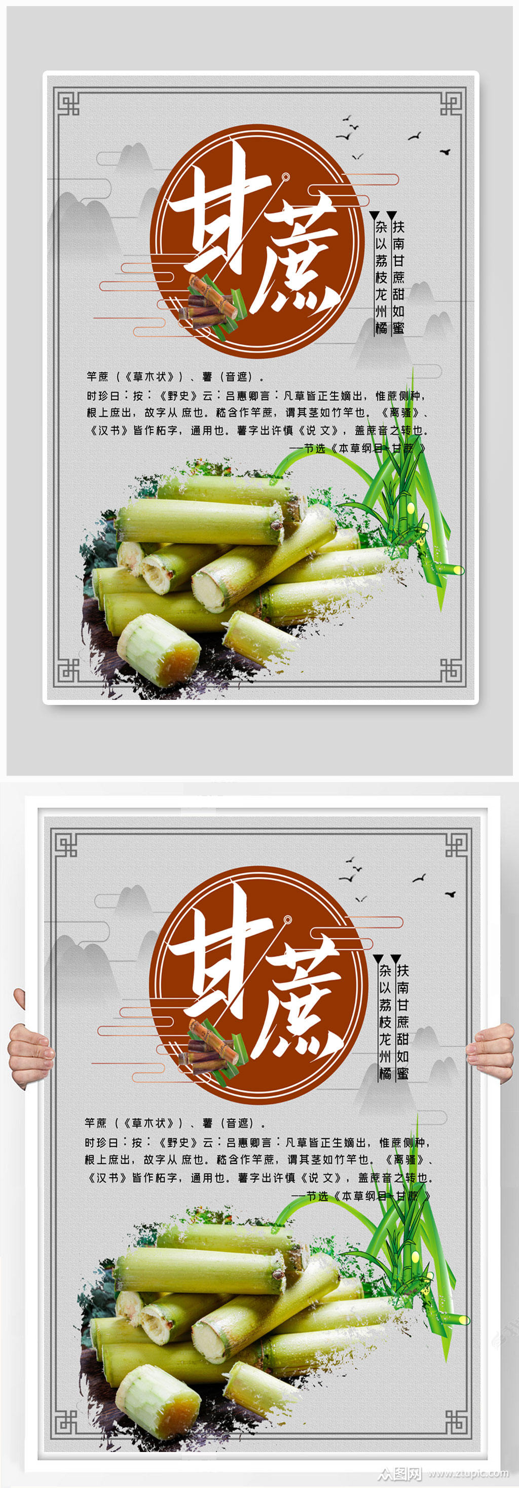 青皮甘蔗海报展板
