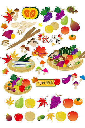 秋天的食物水果蔬菜