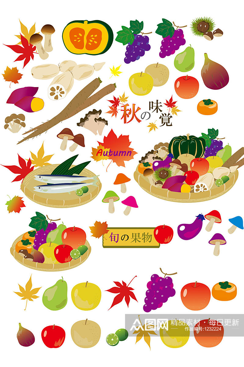秋天的食物水果蔬菜素材