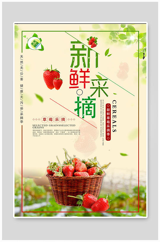 草莓新鲜采摘海报