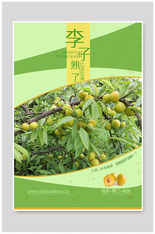 李子熟了李子海报