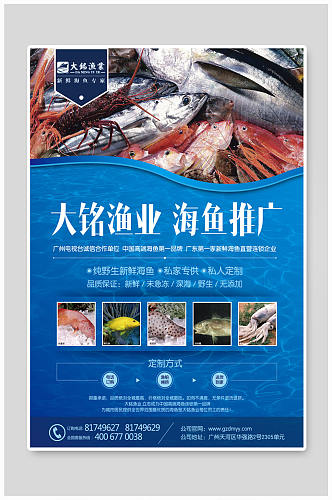 蓝色海洋鱼类海报
