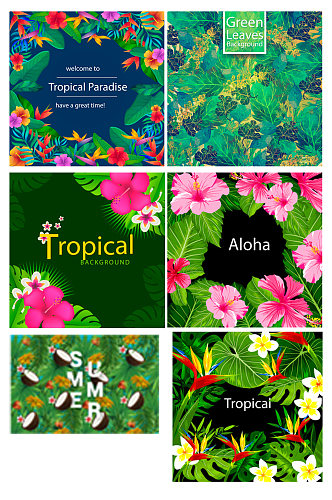 植物花朵热带植物热带花朵