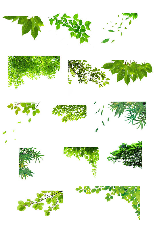 绿叶素材树叶素材