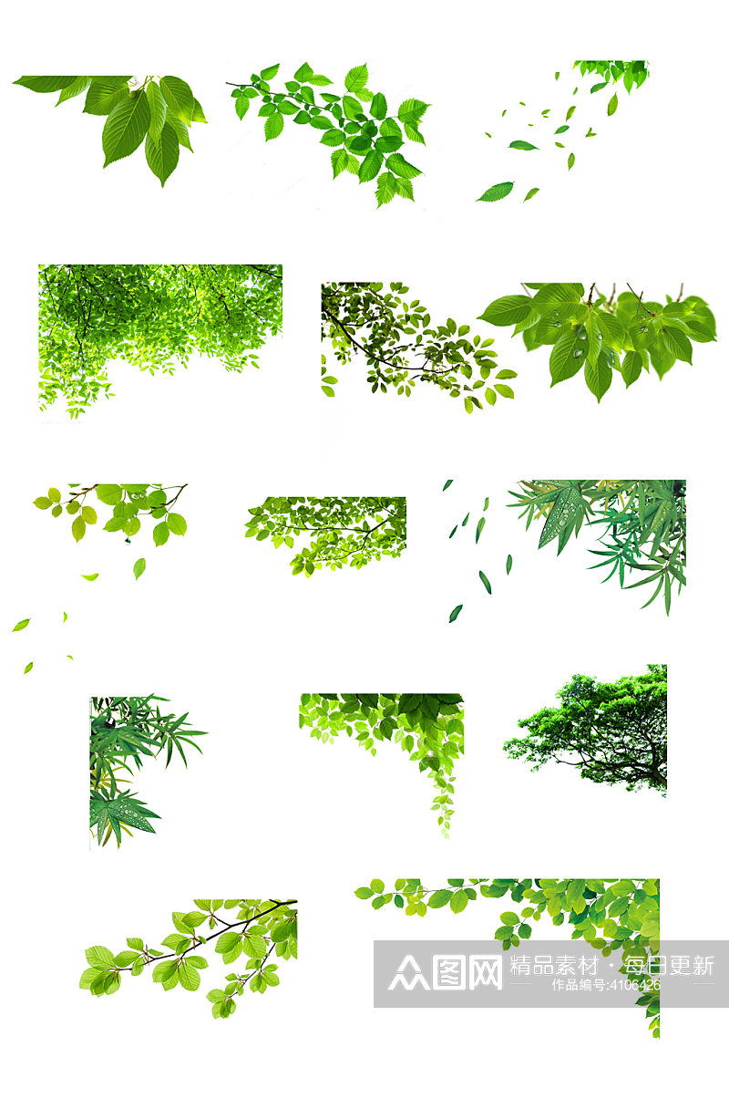 绿叶素材树叶素材素材