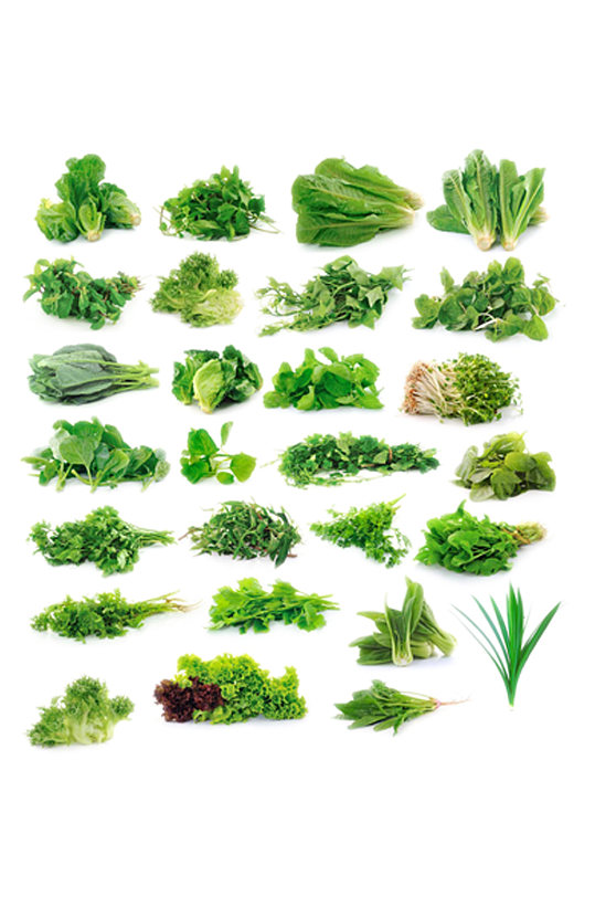 绿色蔬菜素材蔬菜元素