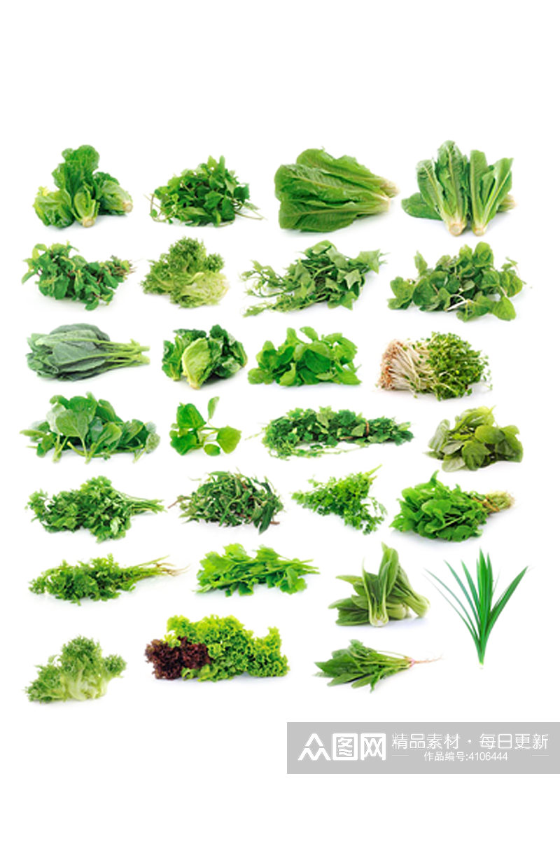 绿色蔬菜素材蔬菜元素素材