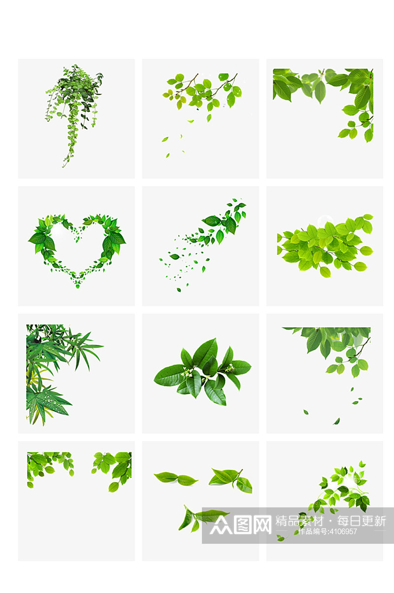 绿叶绿树素材树叶素材素材