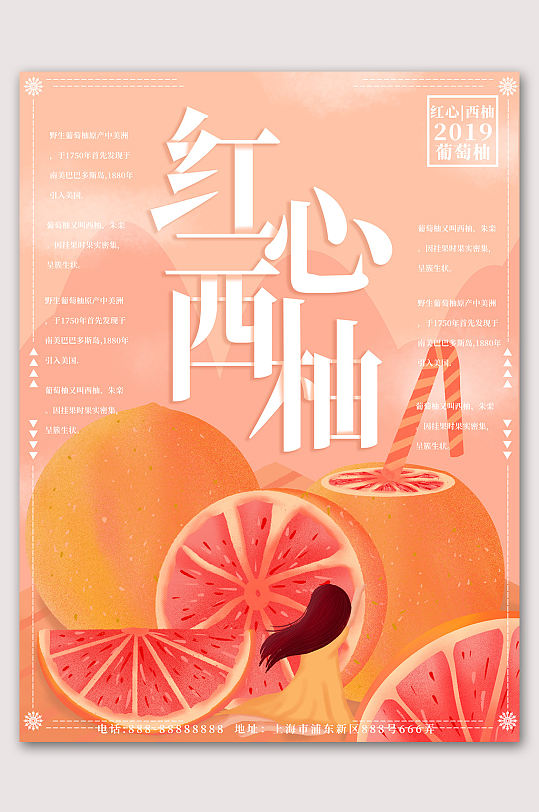 红心西柚手绘水果 柚子海报