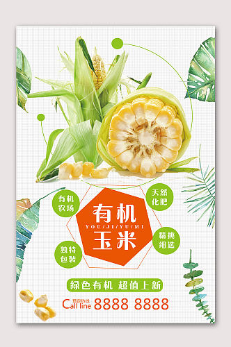 有机玉米蔬菜海报