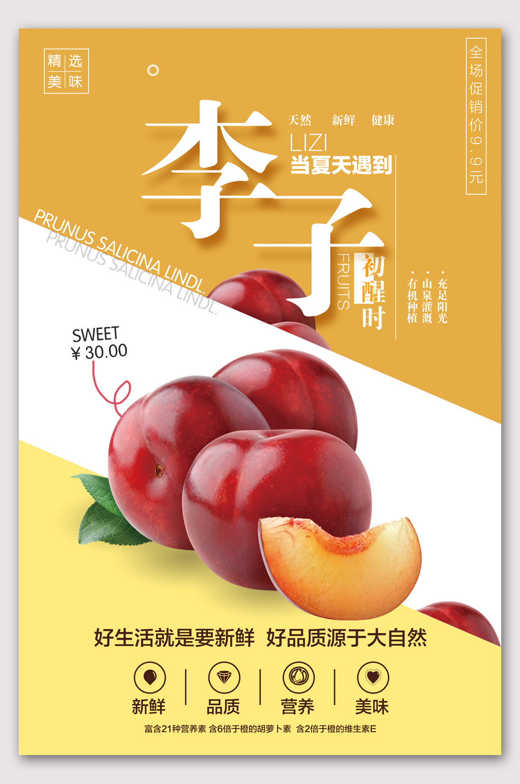 水果户外海报素材免费下载,本作品是由山寨宝宝上传的原创平面广告