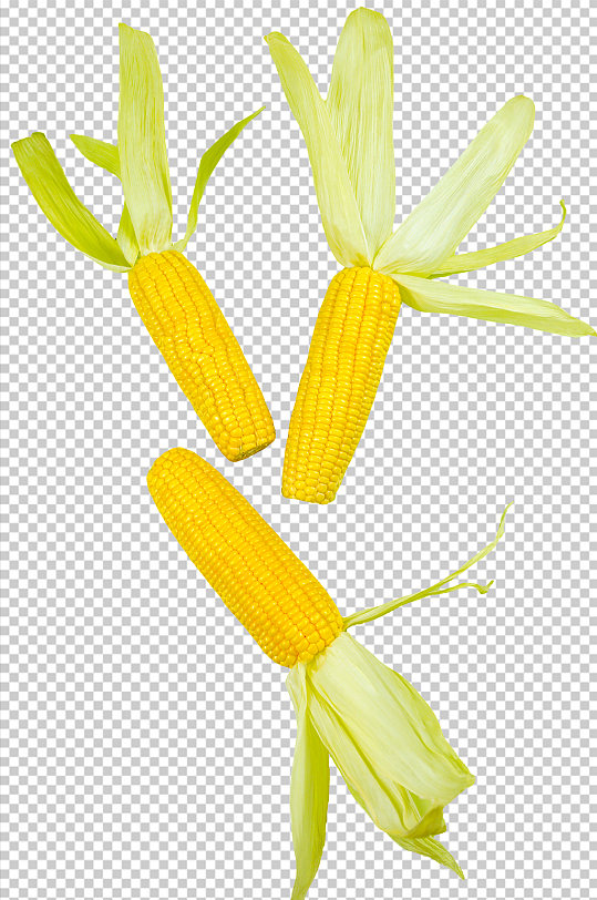 五谷杂粮玉米苞米免抠元素PNG摄影图片