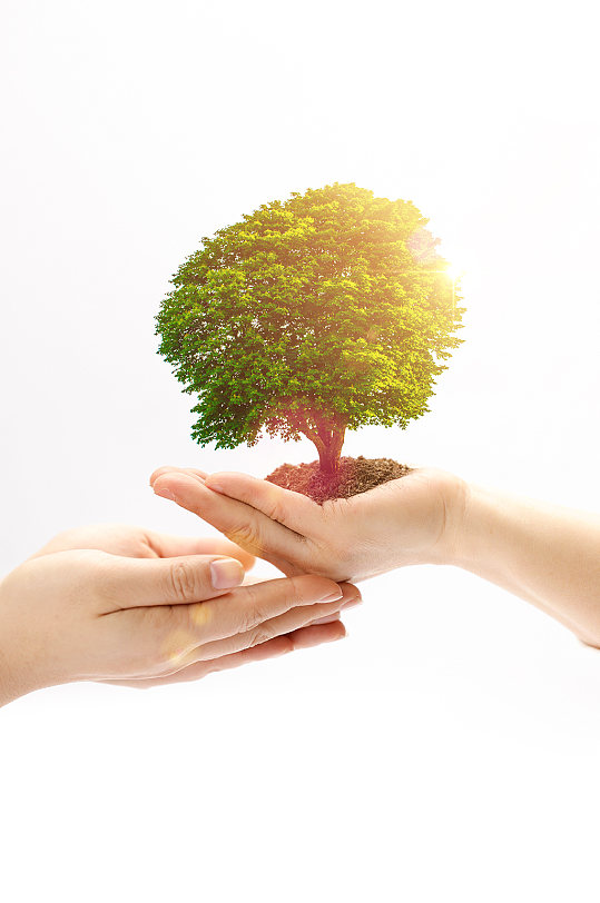 创意植树节环保主题绿植摄影图片元素-众图网