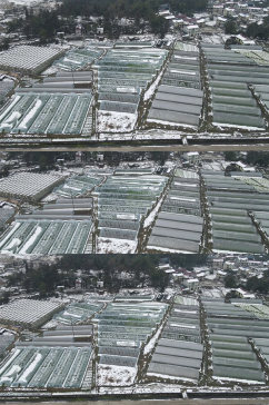 航拍农业大棚种植冬天雪景