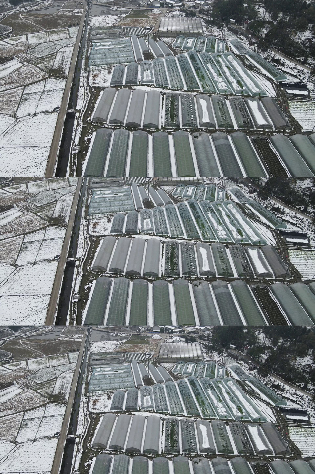 航拍大棚农业冬天雪景素材