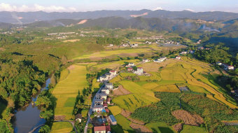 航拍金黄稻田农业种植基地美丽乡村-众图网