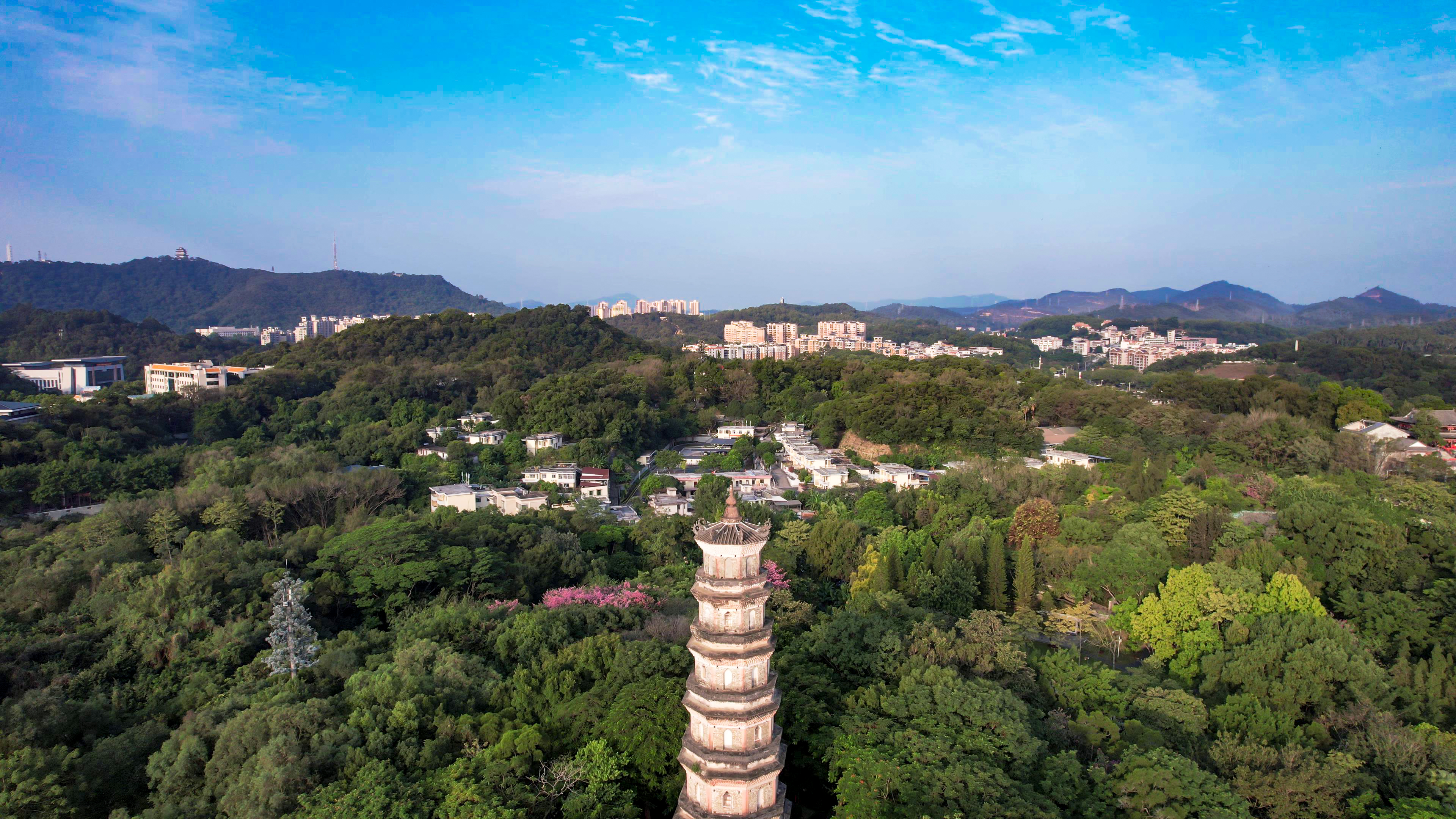 惠州西湖泗洲塔航拍素材