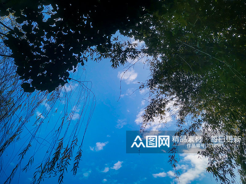 花草树木蓝天白云自然风光摄影图素材