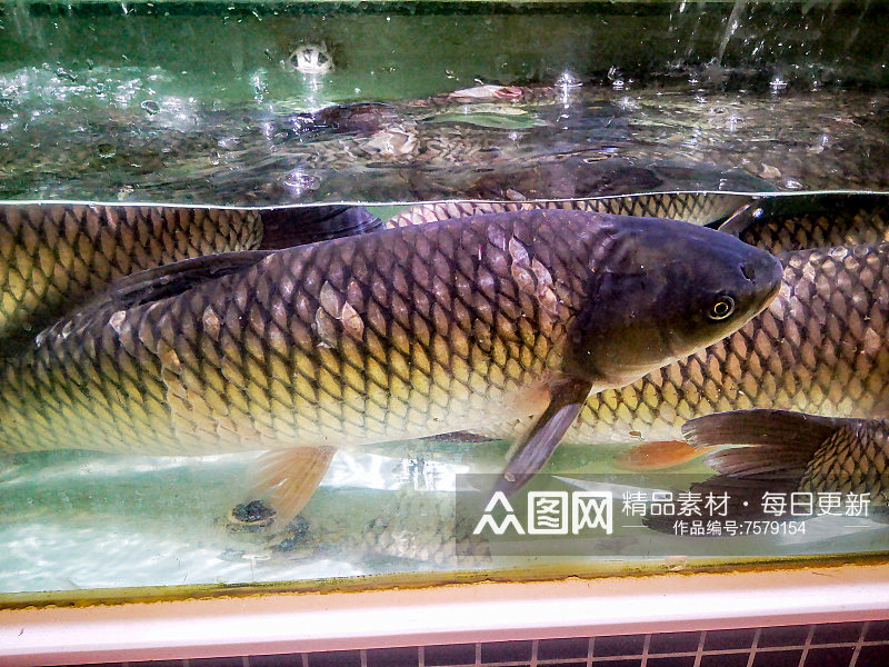 超市生鲜食品水果海鲜摄影图素材