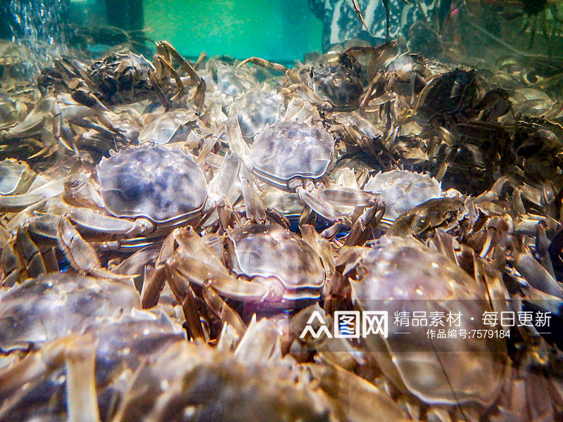 超市生鲜食品水果海鲜摄影图素材