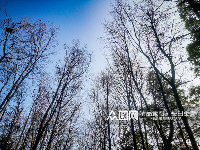 湖南省植物园各种植物摄影图素材