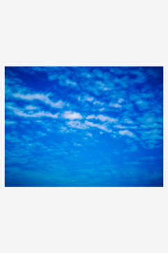 花草树木蓝天白云自然风光摄影