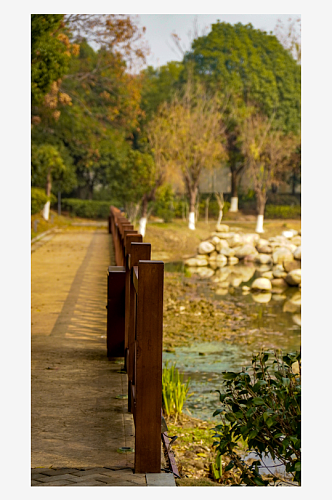 长沙城市公园湖面石头景区摄影图