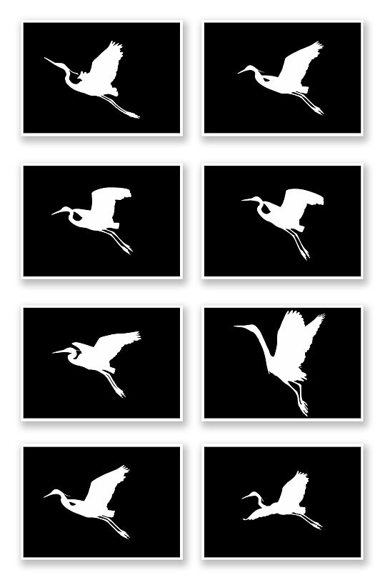 白鹭矢量白鹭图片