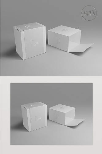 空白简洁纸箱样机