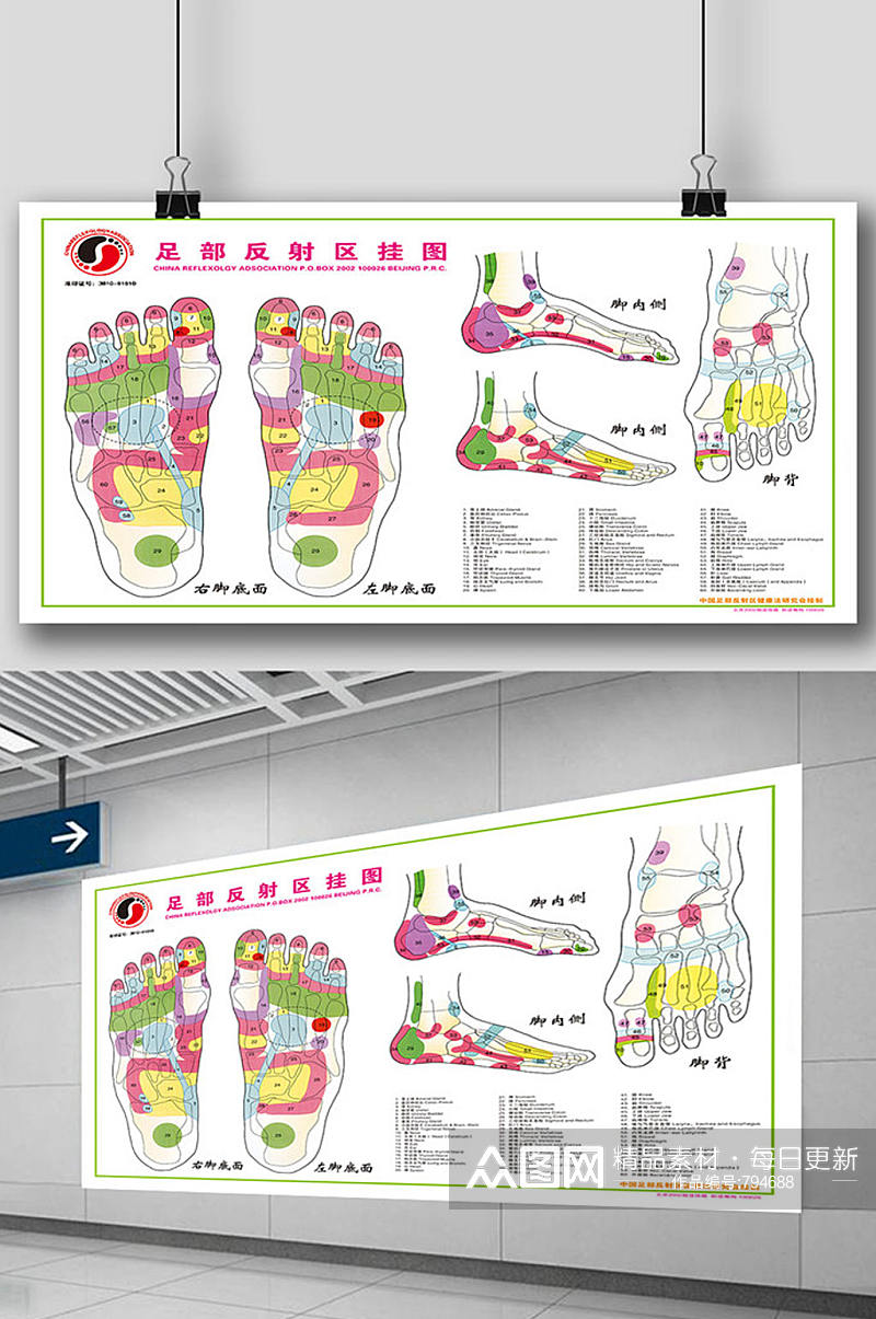 中医足部反射区挂图针灸 医疗展板素材