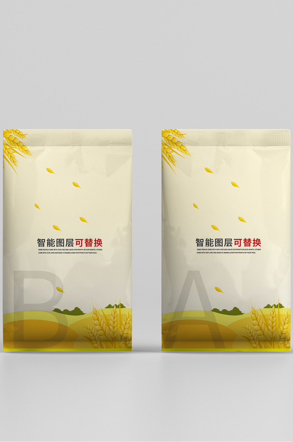 原创3D米袋样机素材