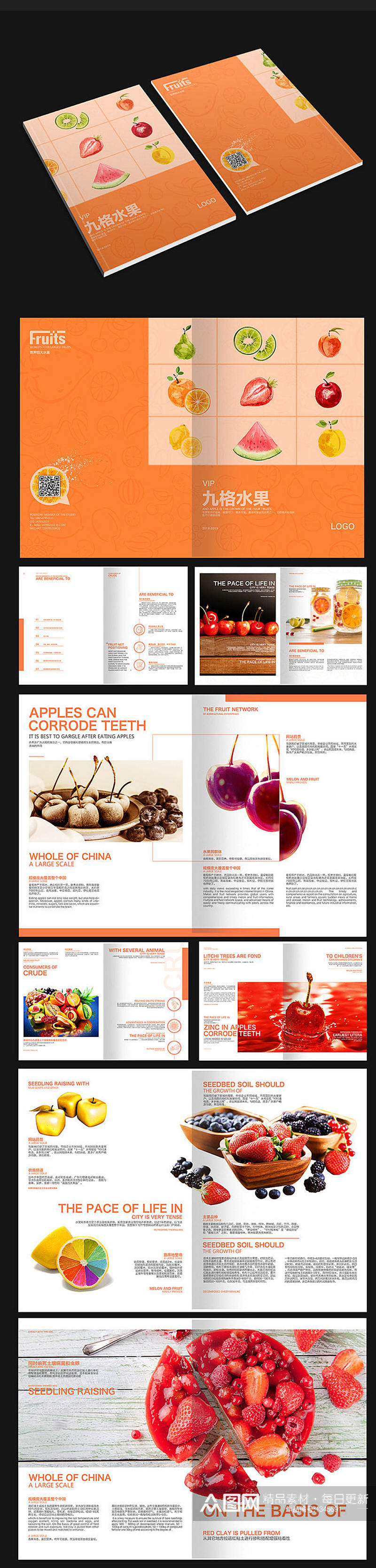 橘色水果画册农产品画册设计素材