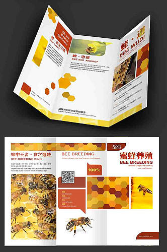 黄色蜜蜂三折页设计