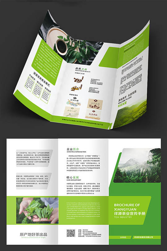 清新绿茶三折页设计