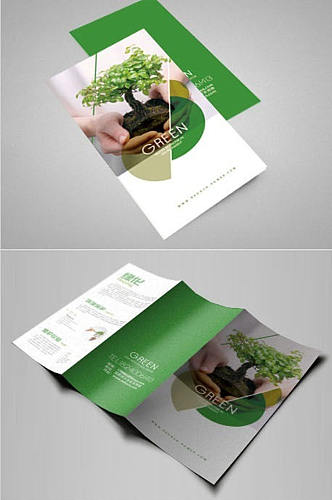 绿色环保植物三折页设计
