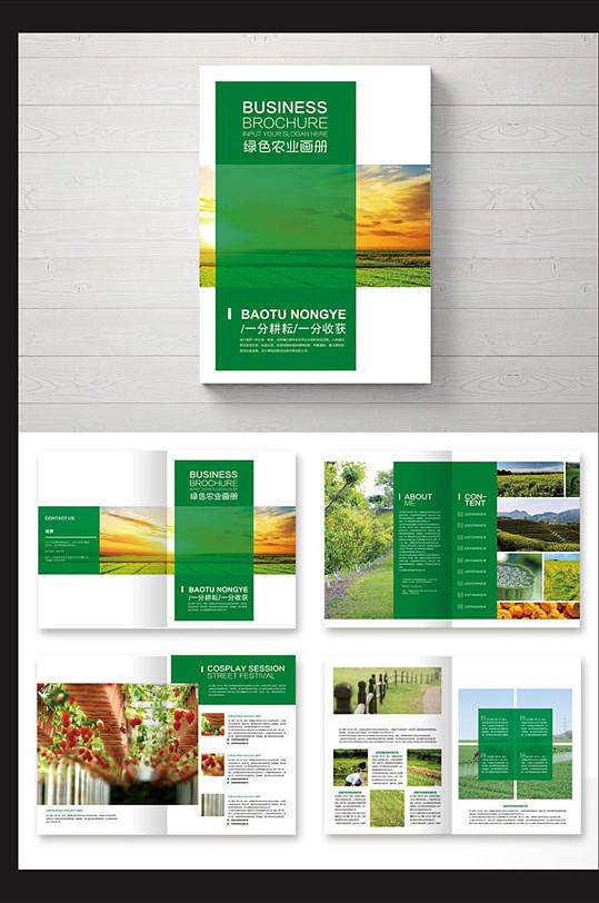 绿色现代农业画册设计