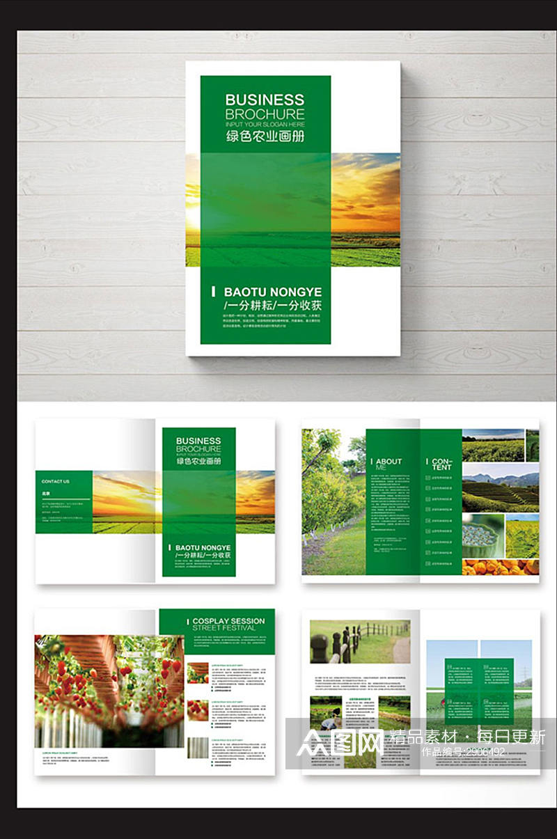 绿色现代农业画册设计素材