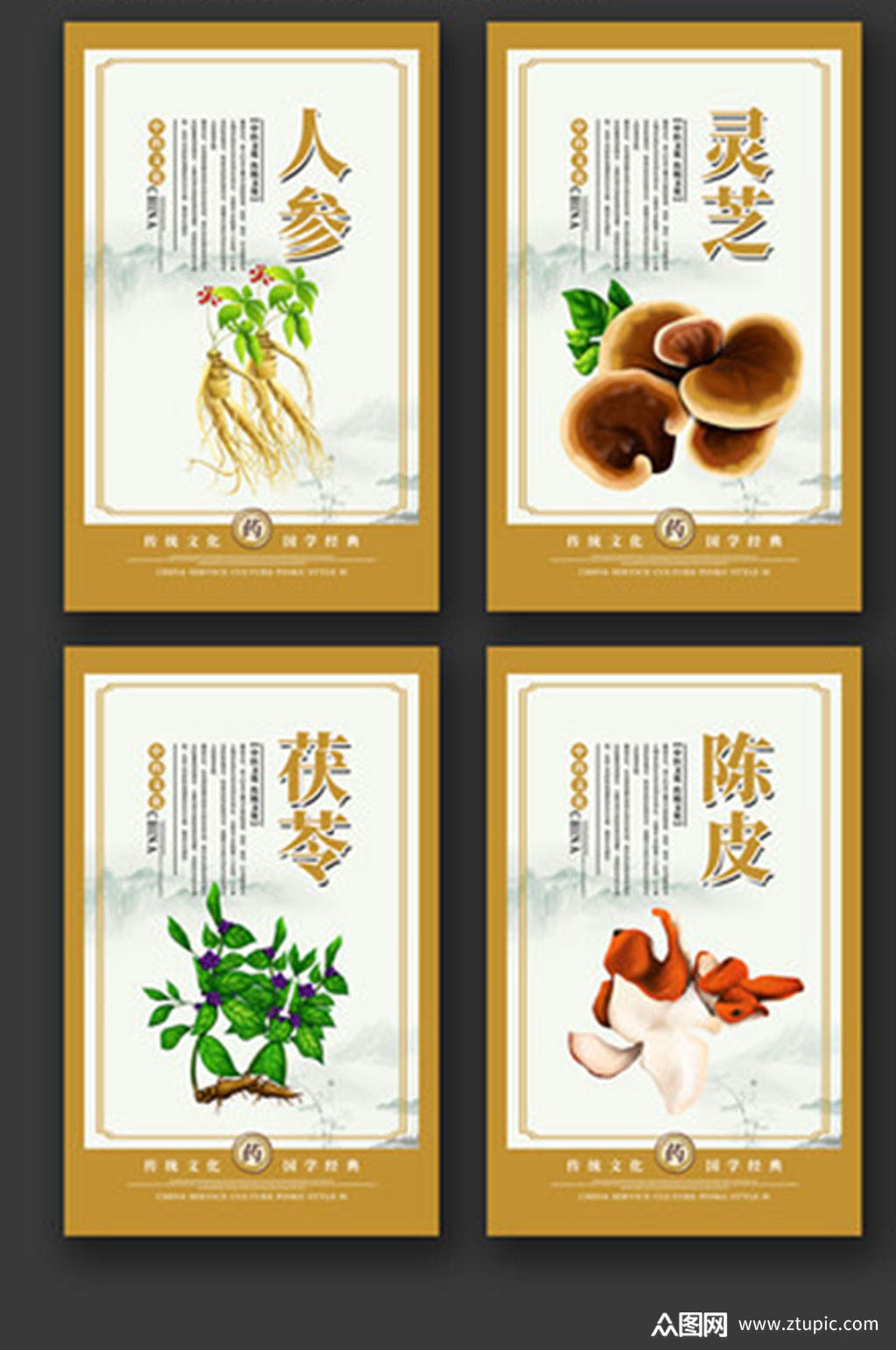 传统中医中药文化展板挂图挂画素材