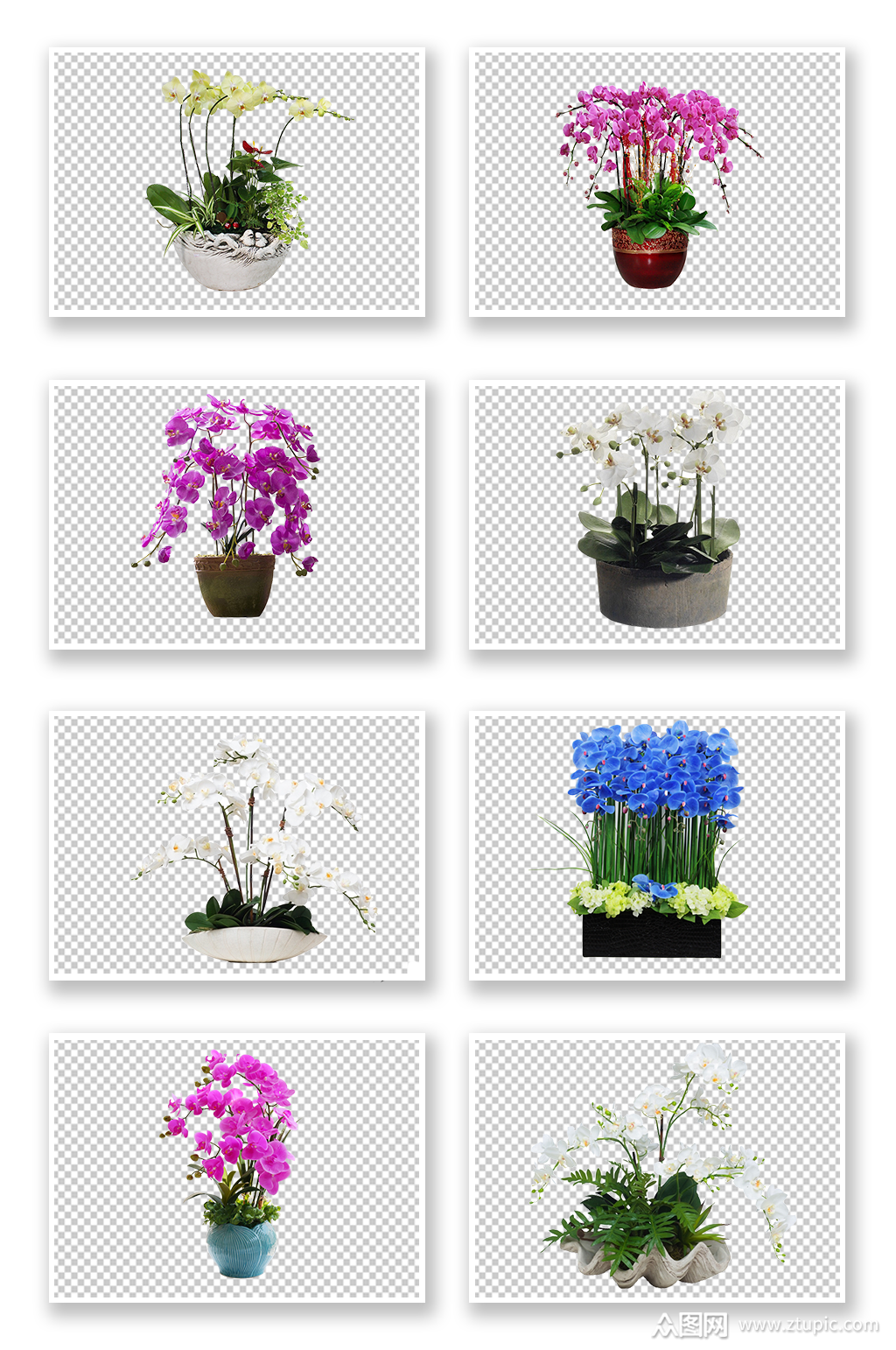 清新植物盆栽png元素模板下载-编号341623-众图网