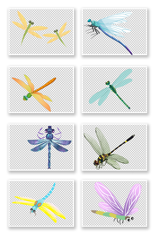 蜻蜓图片元素png