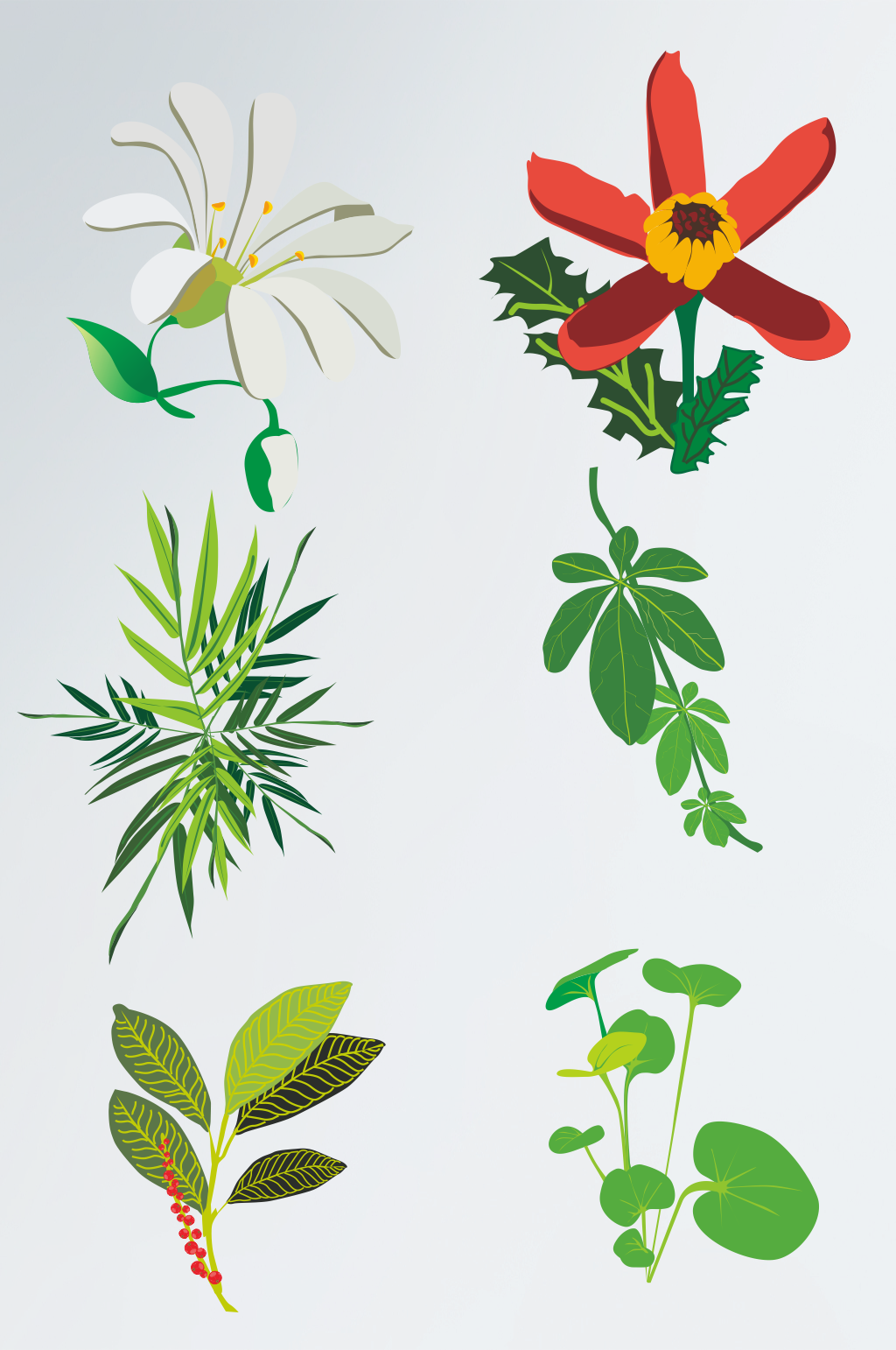 矢量花卉植物素材免扣元素素材