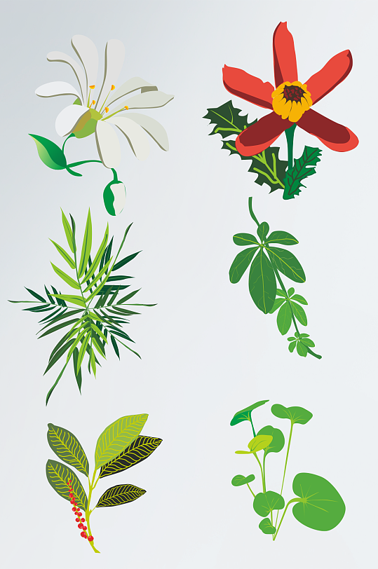 矢量花卉植物素材免扣元素