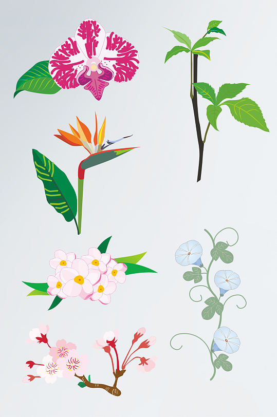 手绘矢量植物花卉素材谜免扣元素