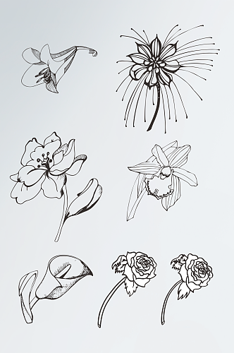 灰度线稿矢量手绘草图CDR植物花卉
