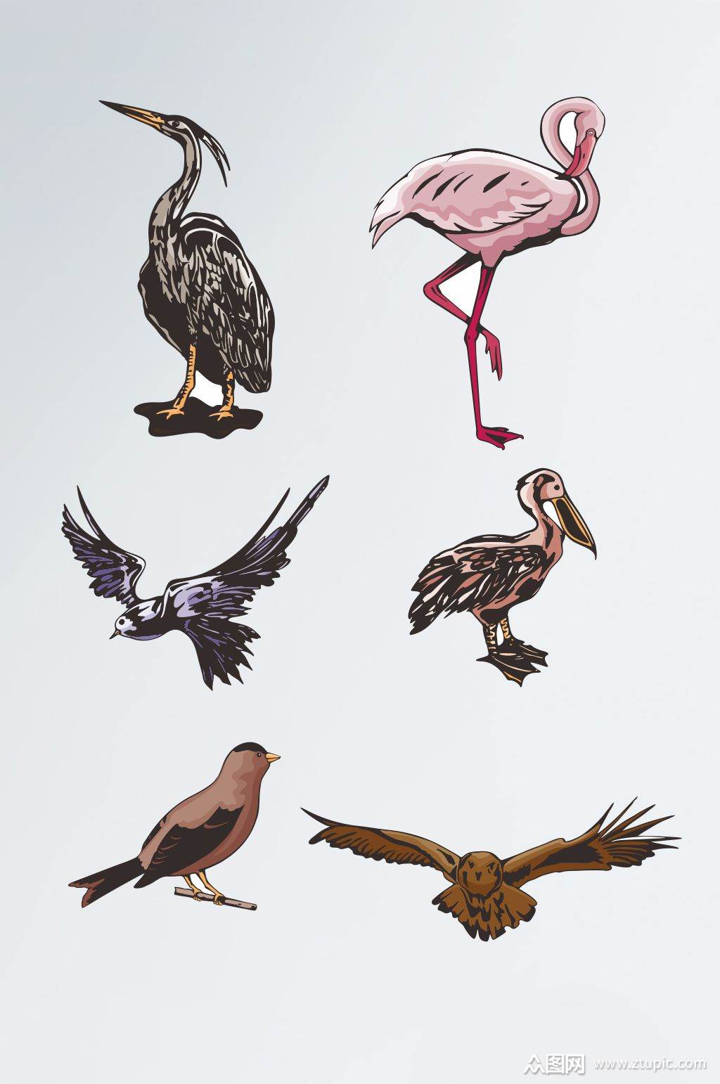 鸟类自然cdr矢量设计元素