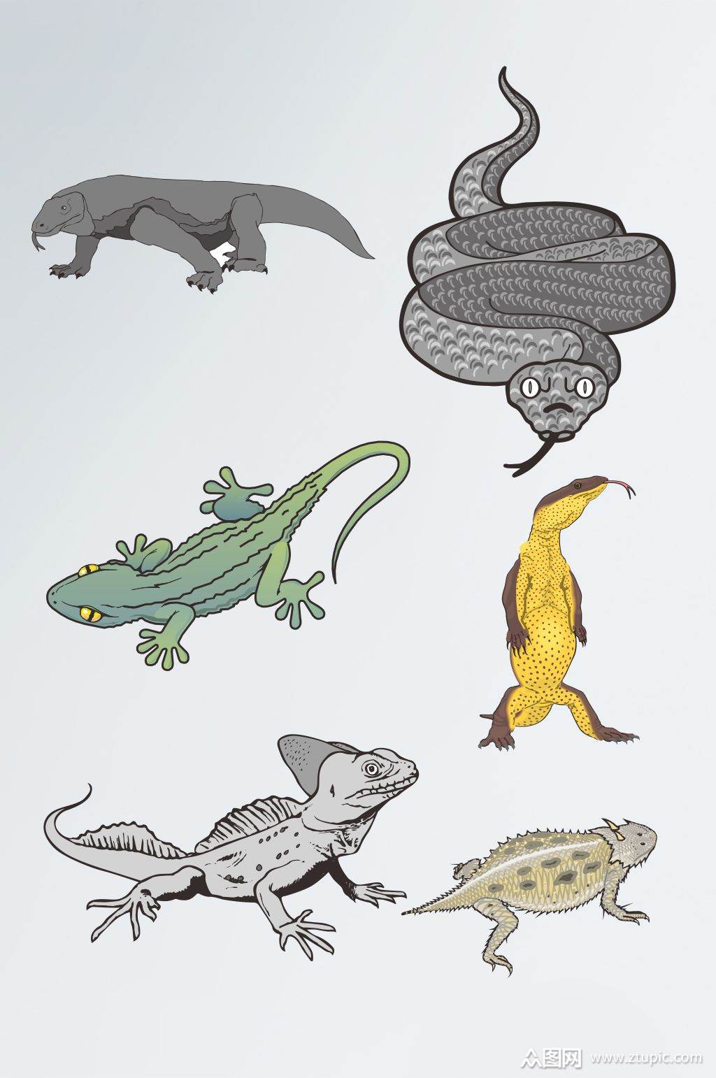 两栖动物cdr矢量免扣设计元素
